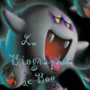 Biographie de Boo